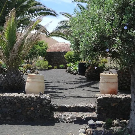 Konukevi Malvasia Vineyard Tías
