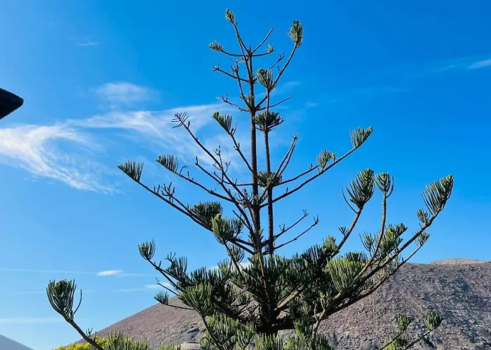 Vendégház Malvasia Rural Estate & Vineyard