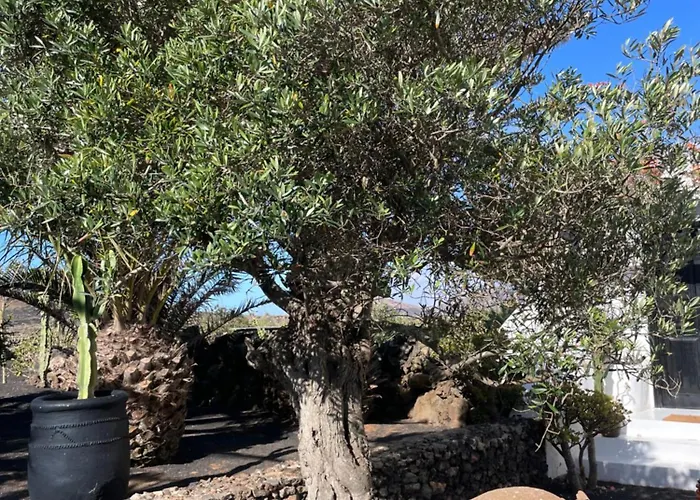 Vendégház Malvasia Rural Estate & Vineyard *