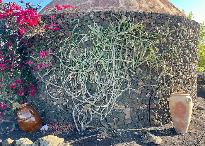 Malvasia Rural Estate & Vineyard Vendégház *