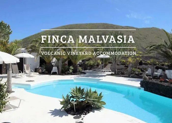 Malvasia Rural Estate & Vineyard Vendégház *